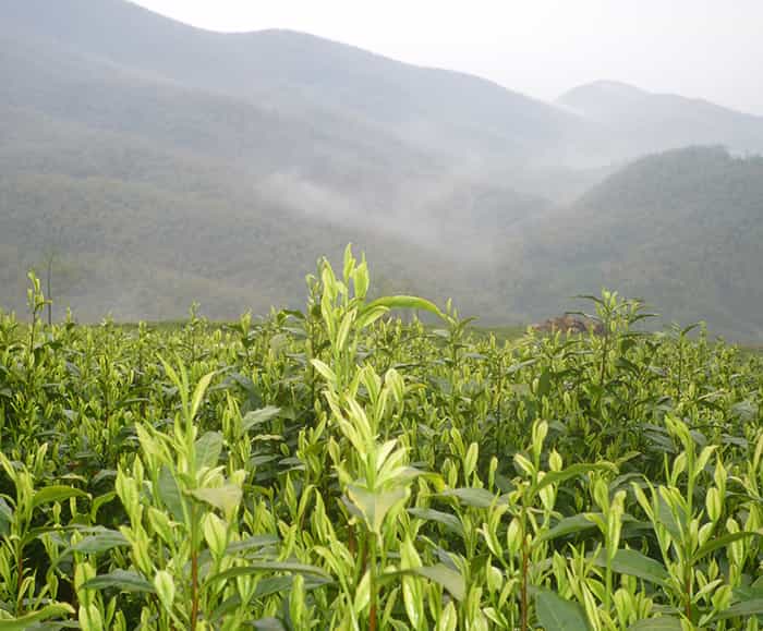 雙頭精雕機(jī)和單頭精雕機(jī)比有什么優(yōu)勢？在選擇時(shí)要考慮什么因素？